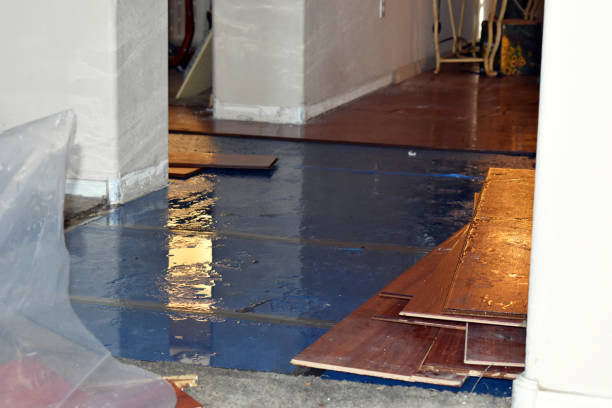 Professional Sewage Cleanup technician working in North Branch, MI